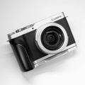 Wooden Hand Grip & Baseplate for Panasonic LUMIX L10 Black Walnut & Ebony