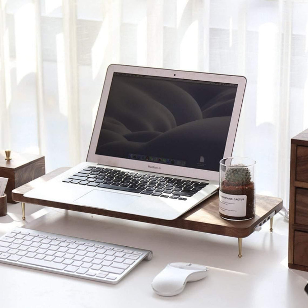 Stylish Brass Leg Monitor Holder for Desk with USB Ports 💻