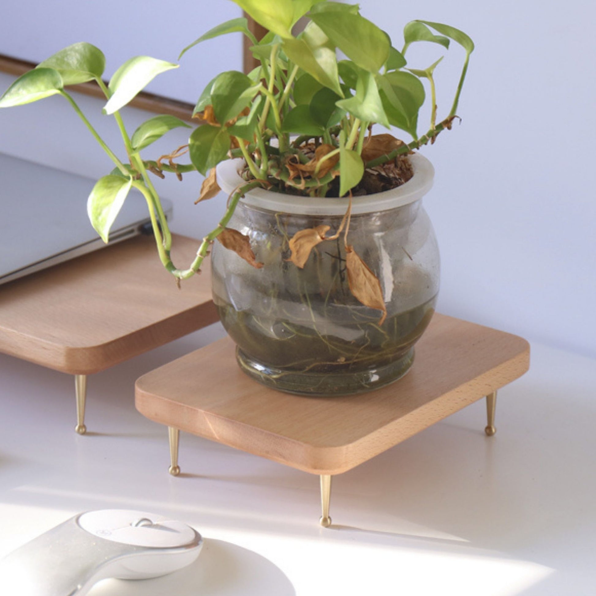 Beech Wood Monitor Holder with USB